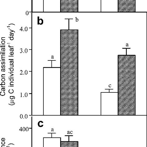 Co Fixation Rate A Carbon Assimilation Per Day B And Stomatal