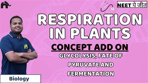 Respiration In Plants Neet Concept Add On Glycolysis Fate Of Pyruvate And Fermentation