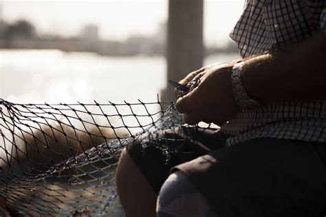 ¿qué Es La Pesca Sostenible Lo Que Necesitas Saber