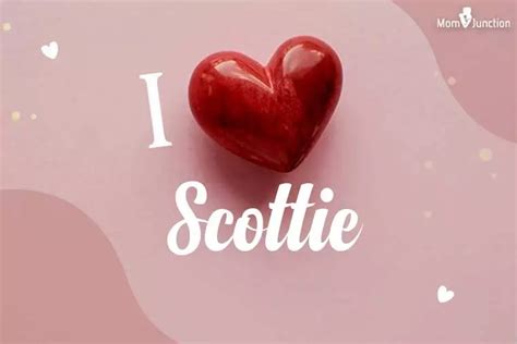 Scottie Name Meaning, Origin, History, And Popularity