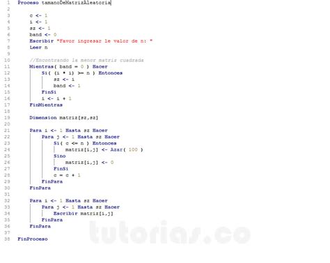 arreglos pSeint tamaño de matriz aleatoria Tutorias co