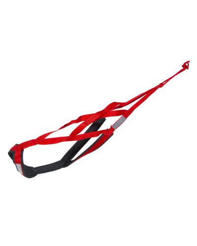 X Back Racing Harness