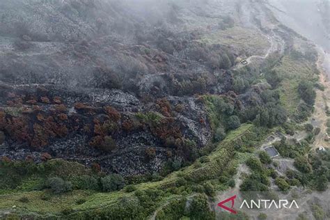 Lahan Seluas Hektare Terdampak Kebakaran Gunung Batok Antara News