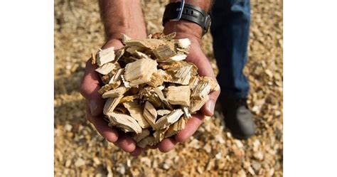 Доклад на USDA разглежда начини за увеличаване на пазара на биомаса ...