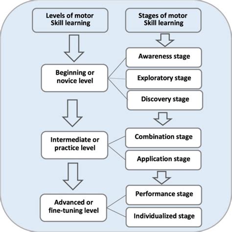 Fitts And Posners Three Stage Model Of Learning Download Scientific Diagram