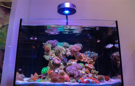 All In One Saltwater Tank Kit Frag Box Corals