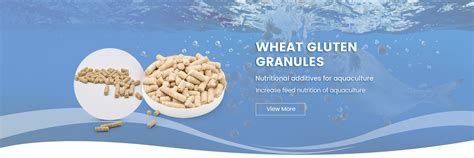 Vital Wheat Gluten Vital Wheat Gluten Pellets Wheat