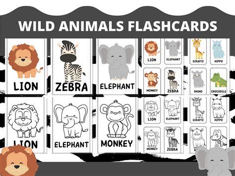 wild animal cards 2