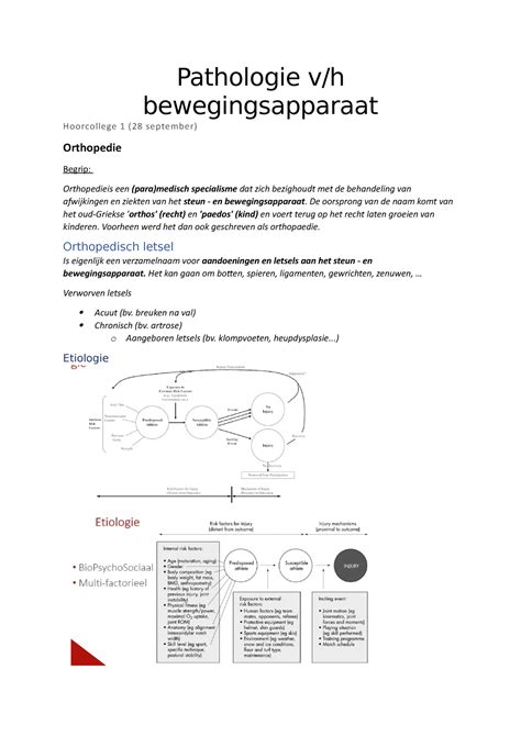 Hoorcollege Ppt Alle Info Van Les Pathologie V H