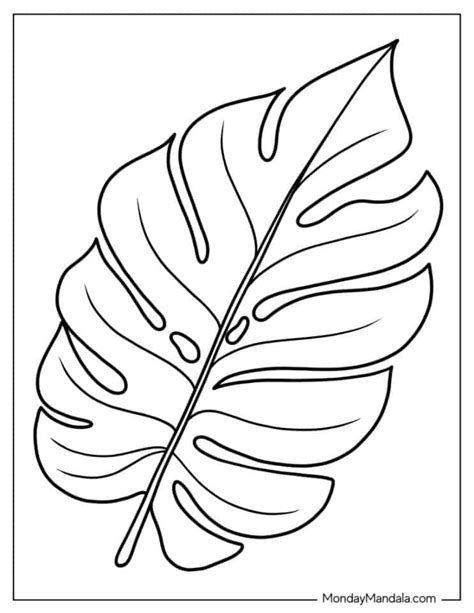 34 Leaf Coloring Pages Free Pdf Printables