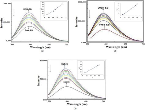 Emission Spectra Of Eb Bound To Ct‐dna In The Absence And Presence Of