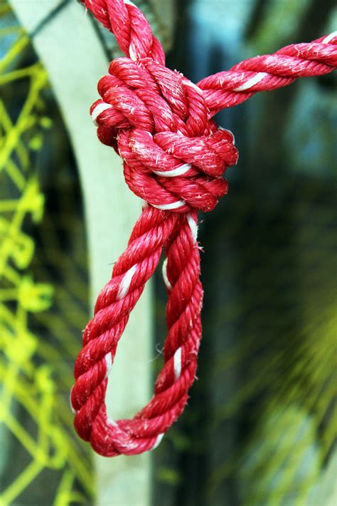 Red Rope | Laughing Lobster Photography