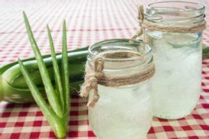 Aloe Vera Come Estrarre Il Gel E Modi Per Usarlo Greenme