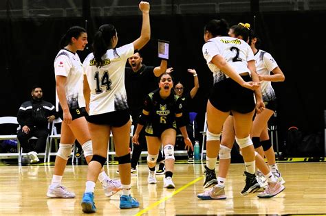 Se Prepara Zorros Femenil De Voleibol Para Reanudar La Temporada