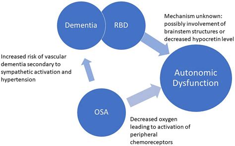 Frontiers Sleep Apnea And Autonomic Dysfunction In Patients With Dementia