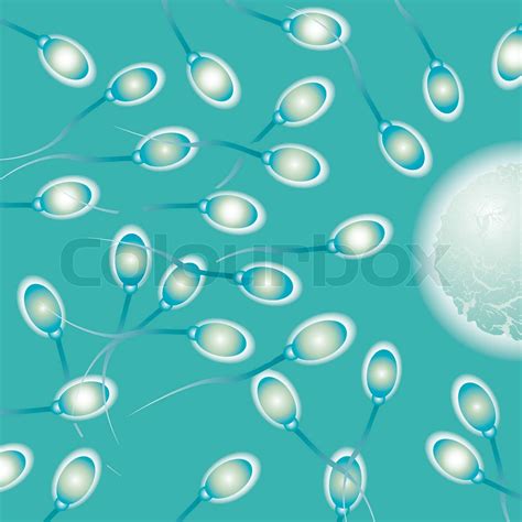 Close Up Image Of Sperm Ready To Fertilize A Female Egg Stock Vector