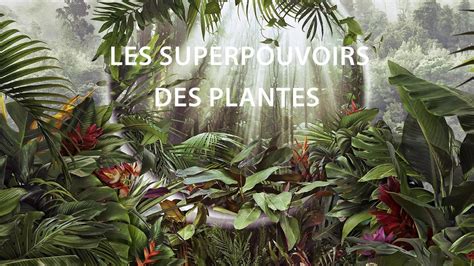 Les Superpouvoirs Des Plantes Apple Tv Fr