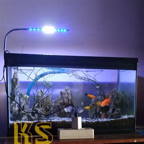 Lampu Aquarium 11 Mata LED SMD Kombinasi Biru Putih Lampu Aquascape