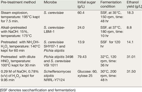 Ethanol production from sugarcane bagasse | Download Scientific Diagram