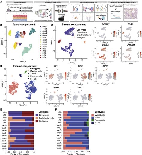 Single Cell Dissection Of Cellular Components And Interactions Shaping