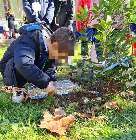 Giornata Nazionale Degli Alberi Edugreen Con I Bambini Dellinfanzia E