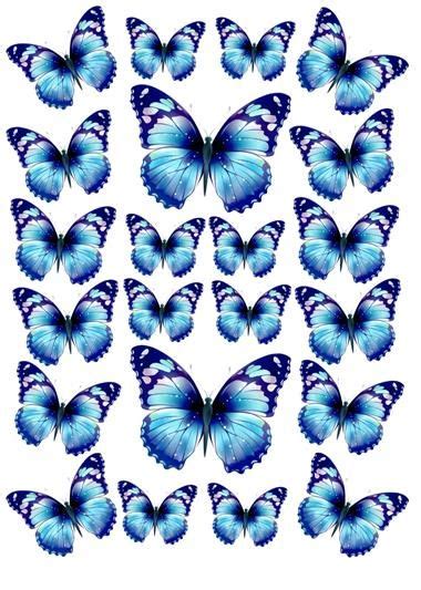 Motyle Butterfly Printable Butterfly Printable Template Mini Canvas Art