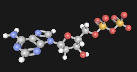 What is this nucleoside phosphate? | Chegg.com