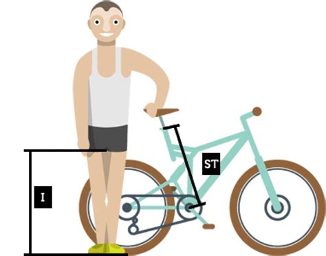 El Tamaño Ideal De Bicicleta Para Ti Altura Y Tallas