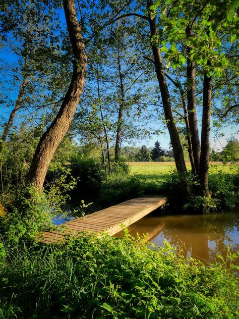 Weiher Bäume Brücke Kostenloses Foto auf Pixabay Pixabay