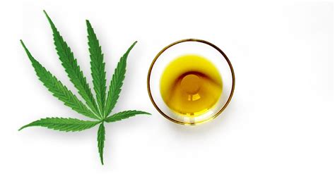 Cbd Oil Vs Hemp Oil Understanding The Important Differences Big Sky Botanicals