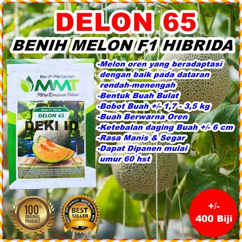 Jual Benih Melon Delon Hibrida F Biji Oren Mmt Seed Orange