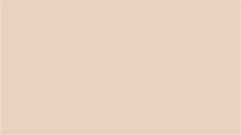 Pastel Rose Tan Solid Color Background Image | Free Image Generator