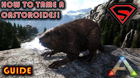 Ark How To Tame A Castoroides Beaver 2020 Everything You Need To