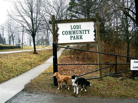 Lodi Oh Lodi Community Park Photo Picture Image Ohio At City