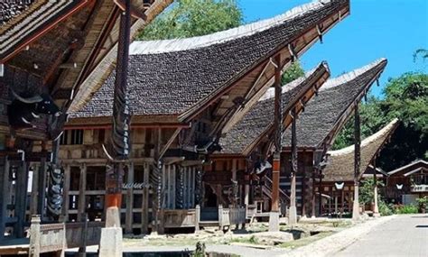 10 Gambar Lemo Toraja Lokasi Alamat Dan Objek Wisatatempat Kuburan
