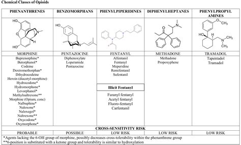 What Every Pharmacist Should Know About Transdermal Fentanyl Tl Dr