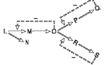 Solved In The Following Branched Metabolic Pathway A Dotted