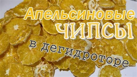 Апельсиновые чипсы в дегидраторе. Идеи, опыт и ошибки. - YouTube