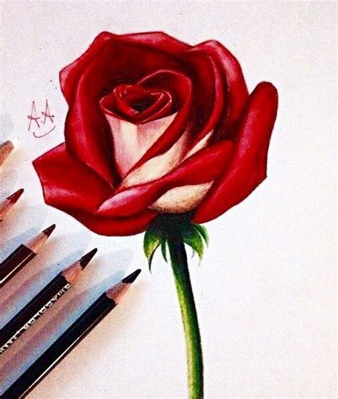 Como Dibujar Una Rosa Realista How To Draw A Realistic Rose Themeloader