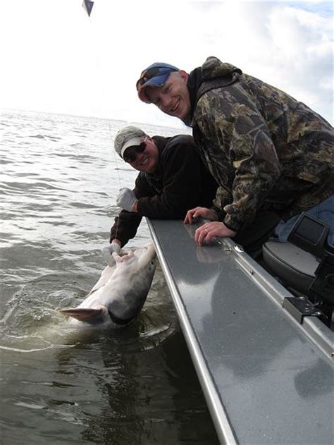 Sturgeon fishing on the Columbia River