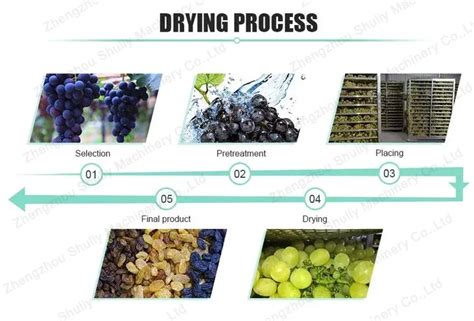 The Grape Drying Process In The Grapes Dryer Machine