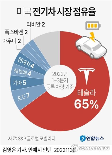 美 전기차 시장 3분의 2 차지한 테슬라기아현대차 5위권 나무뉴스