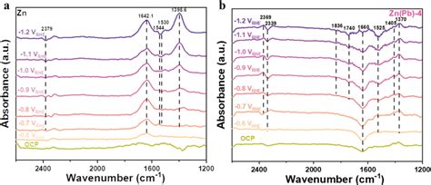 Potentialdependent In Situ Atrftir Spectra Of The Undoped And Doped