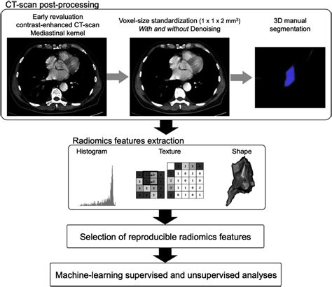 Radiomics Pipeline 3d Three Dimensional Download Scientific Diagram