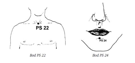 Anatomické plagáty modely a knihy o masážach REVIXA Eshop Masáže