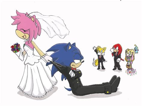 Sonamy wedding | Funny gif, Sonic, Sonic and amy
