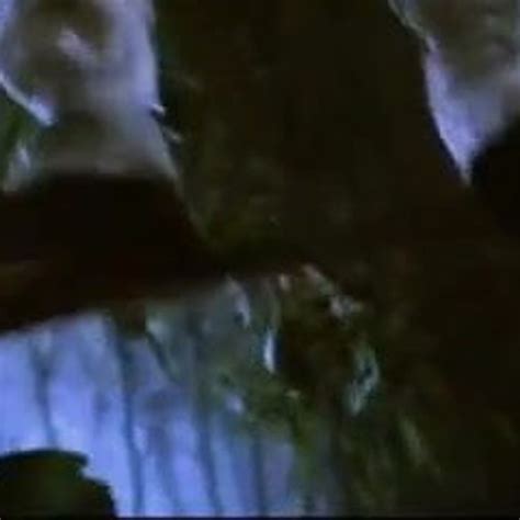 Chinese Sex Kungfu Free Xxxn Sex Porn Video Xhamster Xhamster