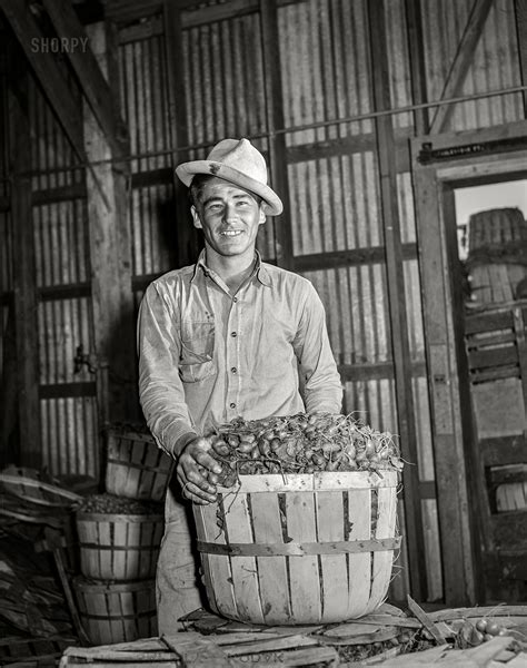 Shorpy Historical Picture Archive Radish Warehouse 1942 High