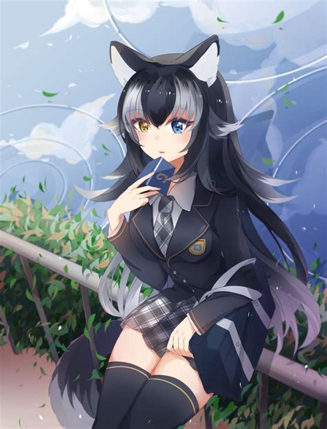 Kemono Friends Grey Wolf Anime Wolf Girl Anime Anime Wolf