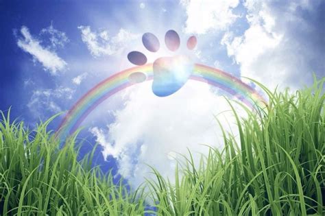 Free Rainbow Bridge Images For Dogs Web Feel Free To Download It ...